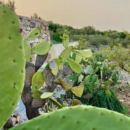 Nocleg ze śniadaniem Lacinera Trulli E Lamie Ostuni