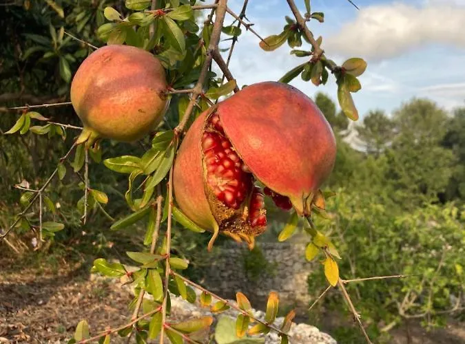 Lacinera Trulli E Lamie Bed & Breakfast 4*