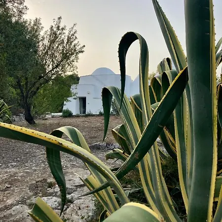 Lacinera Trulli E Lamie