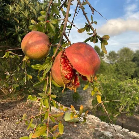 Lacinera Trulli E Lamie Bed & Breakfast 4*